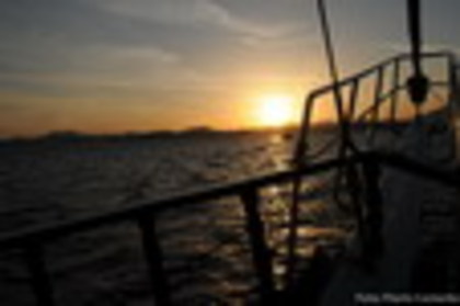 ADI_9137_by_F_C_resized_resize - IUBIREsiONOARE