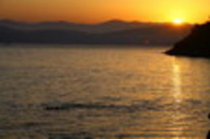 locatii9_resize_resize - IUBIREsiONOARE