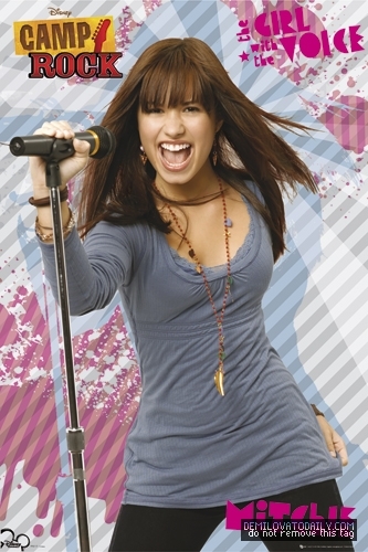 004 - Camp Rock 2008 Posters