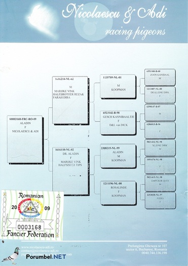 Petre-Petre; Petre-Petre
