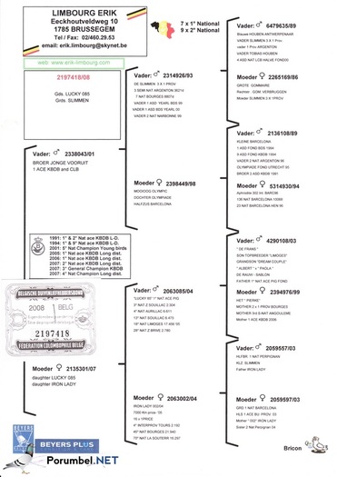 Petre-Petre; Petre-Petre
