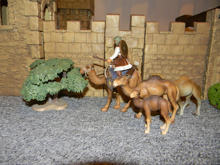 camel shepard - animale SCHLEICH