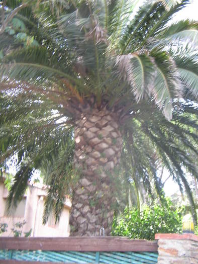 franta 548 - Vizita Franta-Spania-2007