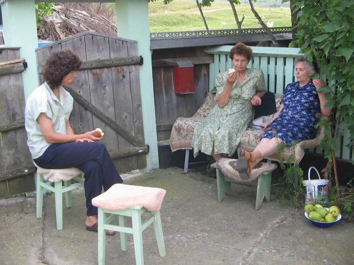 recomandaraugust 2009 006