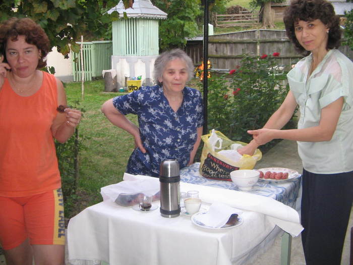 recomandaraugust 2009 007