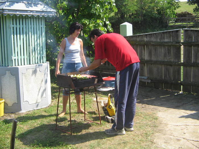 recomandaraugust 2009 138