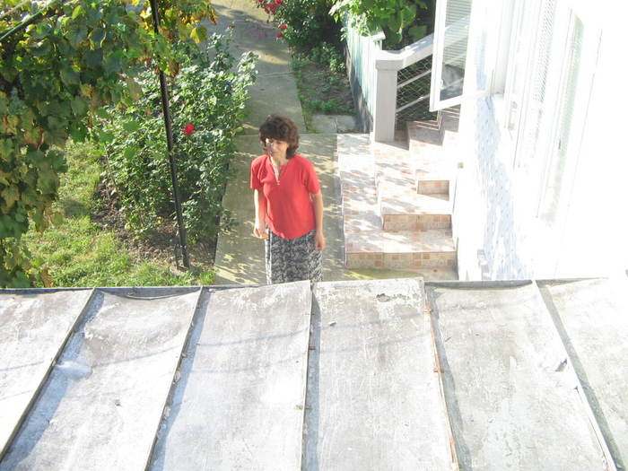 recomandaraugust 2009 147