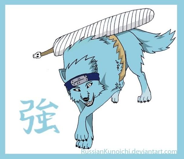 Kisame wolf