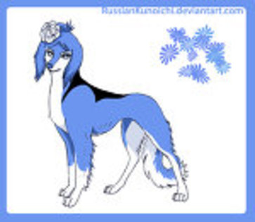 Konan dog