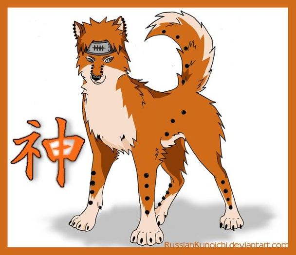 Pein Wolf