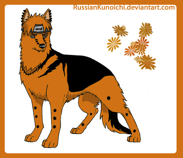 Pein___dog