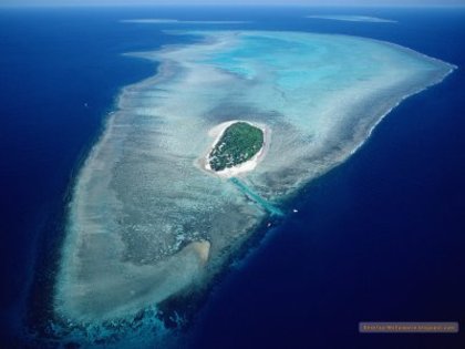 Aerial of Heron Island,