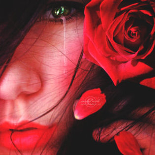 _Tears_of_A_Rose__by_moroka323 - trandafiri