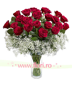 image-127