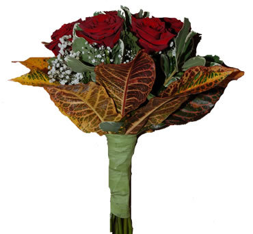 Trandafiri-rosii-Natural-poza-t-P-n-d_261