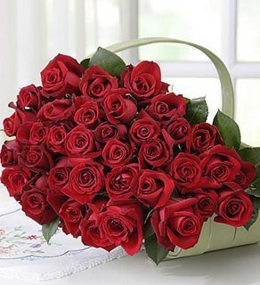 trandafiri-rosii-e-iubire