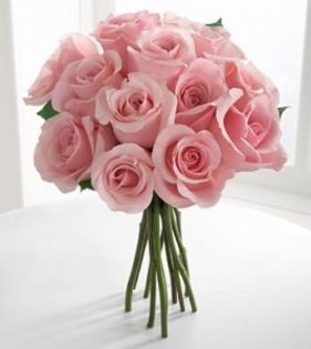 trandafiri-roz - flori