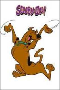 scooby doo - Poze cu scooby-doo