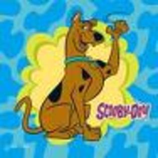 scooby doo (3)