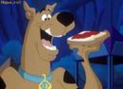 scooby doo (4) - Poze cu scooby-doo