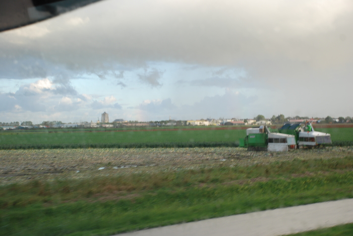  - Poze din strainatate