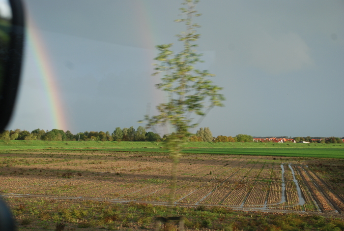  - Poze din strainatate