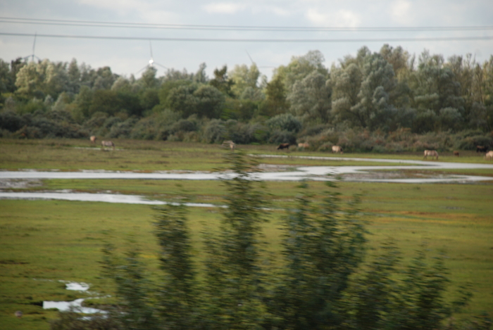  - Poze din strainatate