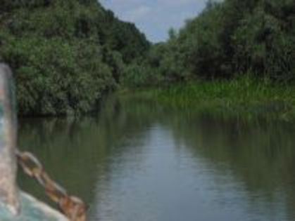 pe unul din canalele deltei