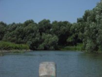 labirintul deltei - Vacanta in Delta Dunarii