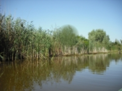stufaris - Vacanta in Delta Dunarii