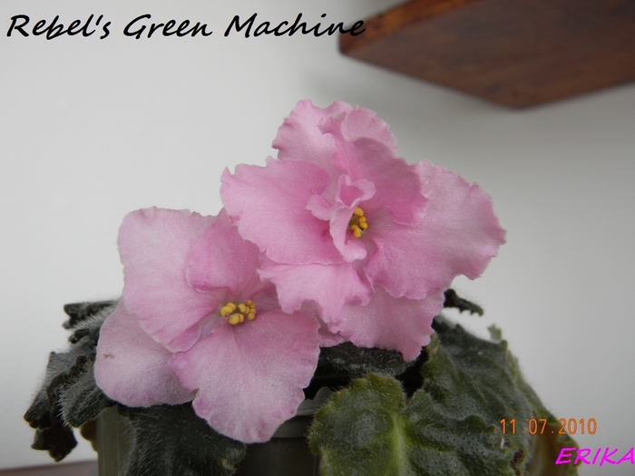 Rebel's Green Machine 2010 jul 11