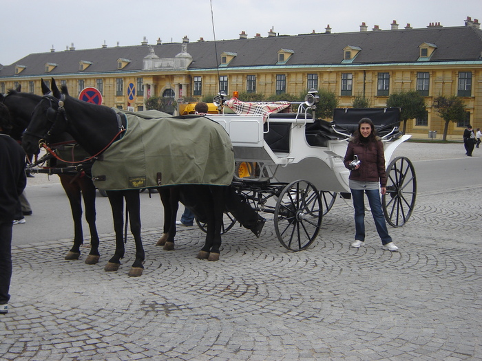 caleasca in curtea schonbrunn - vacanta la VIENA