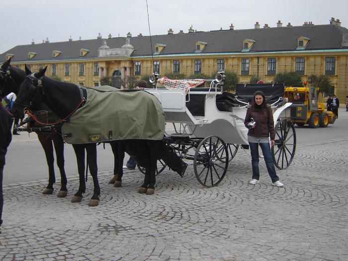 caleasca in curtea schonbrunn