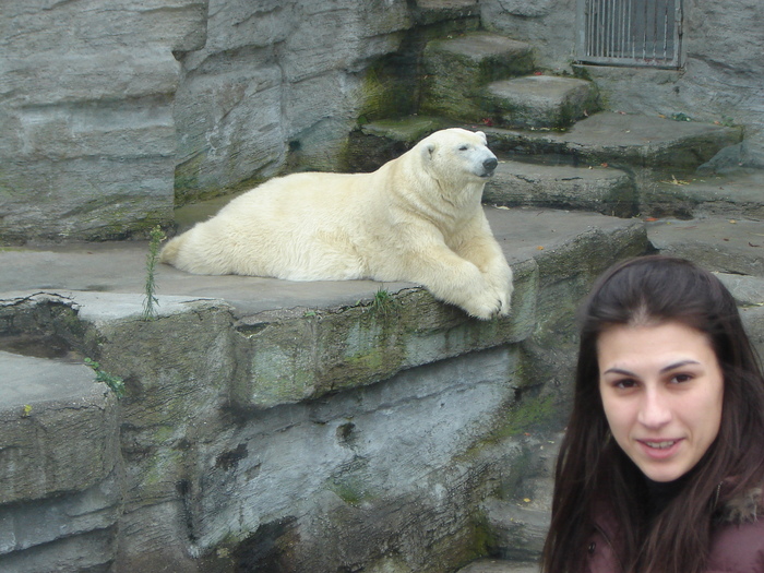 DSC07342 - gradina zoologica din VIENA