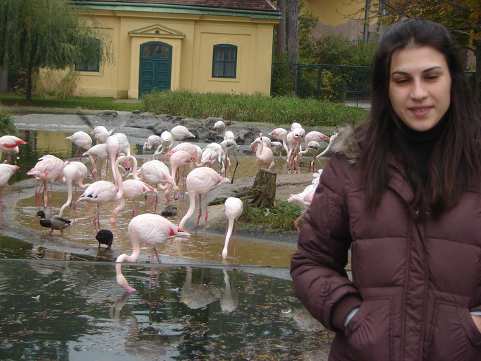 DSC07346 - gradina zoologica din VIENA