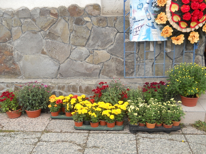 ...si-n fata magazinului - diverse ipostaze