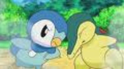 piplup cat de destept este fugi pe geam iar maya dupa el