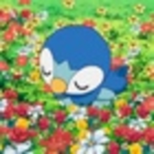 si piplup - banda desenata nr2