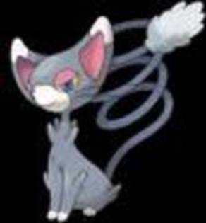 2369334