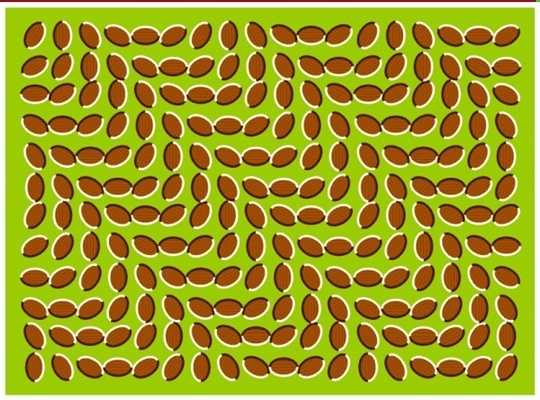 14696213_VTOGMGKBJ