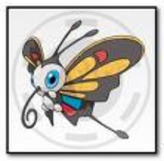 beautifly