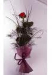 imagesCA1YEHD9
