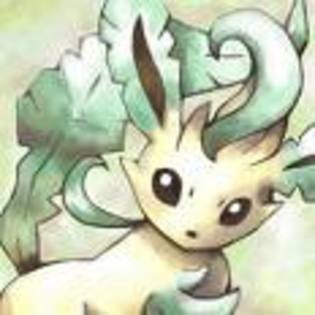 imagesCAN3EVNX