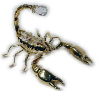 zodiac-scorpion~m_152434 - POZE CU ZODII