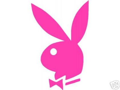 playboy - playboy