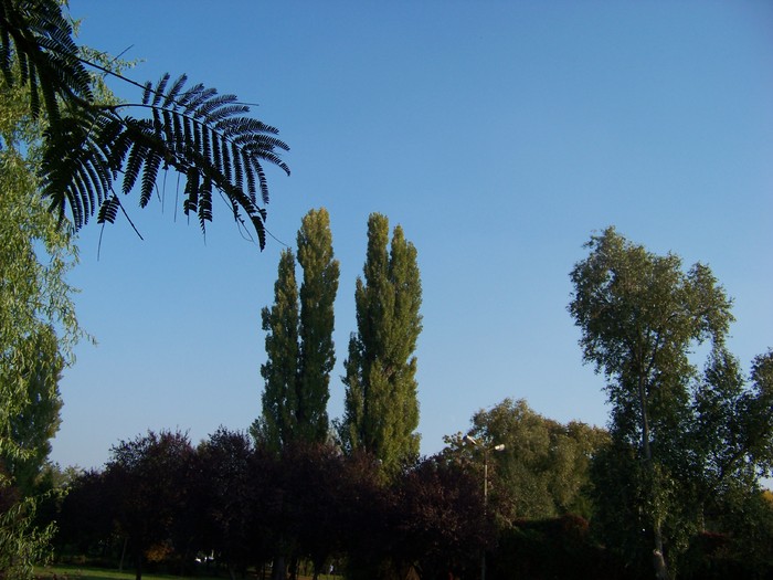 100_1809