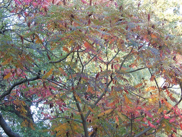 100_1827