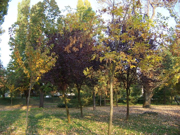 100_1853
