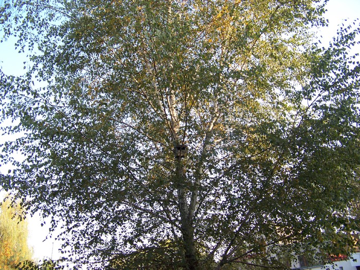 100_1859