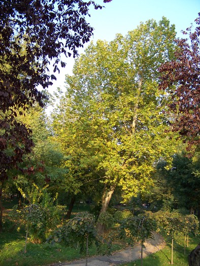 100_1887